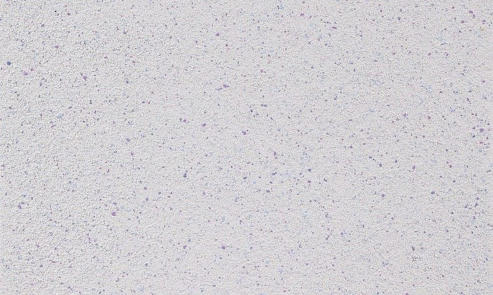 Bayramix Colorix Покрытие структурное мозаичное с добавлением цветных чипсов